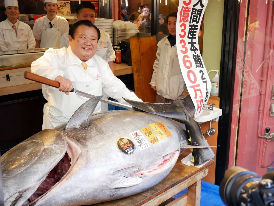 Ile kosztuje tuńczyk do sushi? - Ile kosztuje 1 kg tuńczyka ile kosztuje tuńczyk do sushi - Ile kosztuje 1 kg tuńczyka