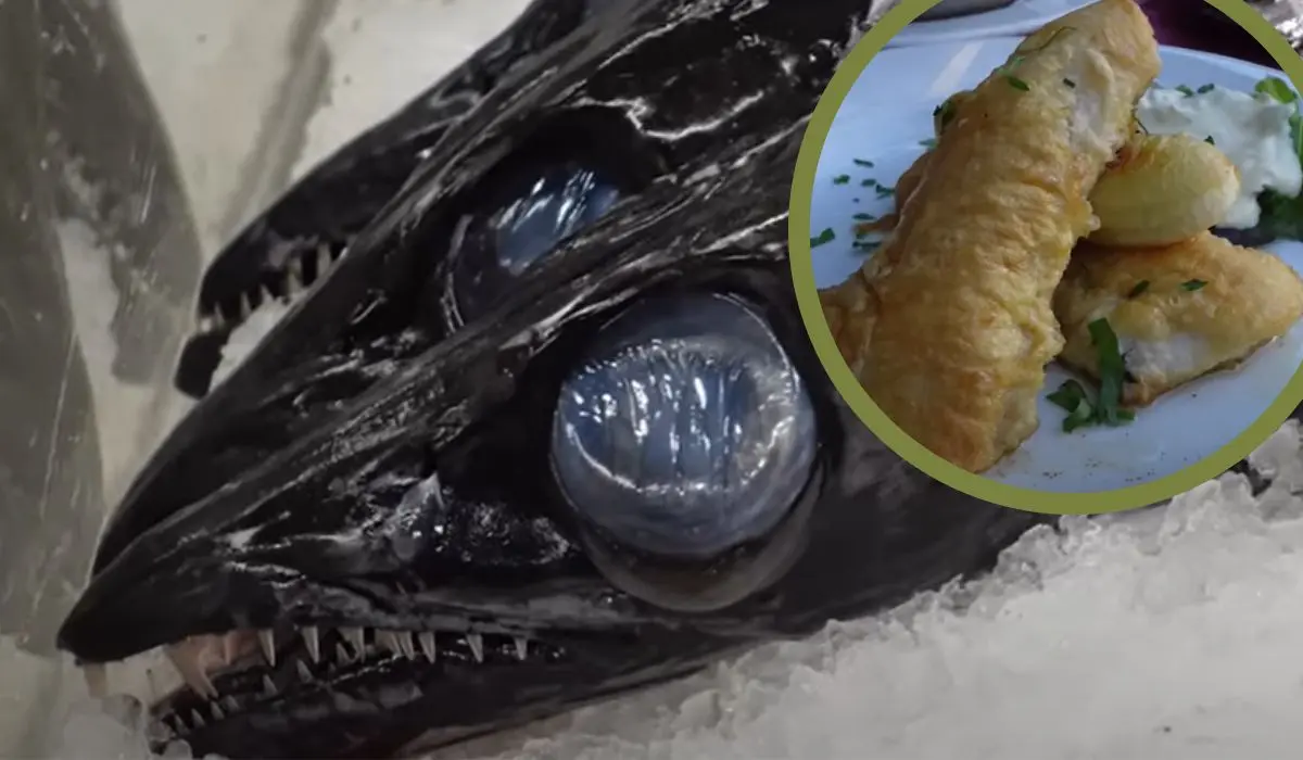 Zjedzenie źle przyrządzonego nigiri z rozdymki - O co chodzi w Legacy Challenge zjedzenie źle przyrządzonego nigiri z rozdymki - O co chodzi w Legacy Challenge